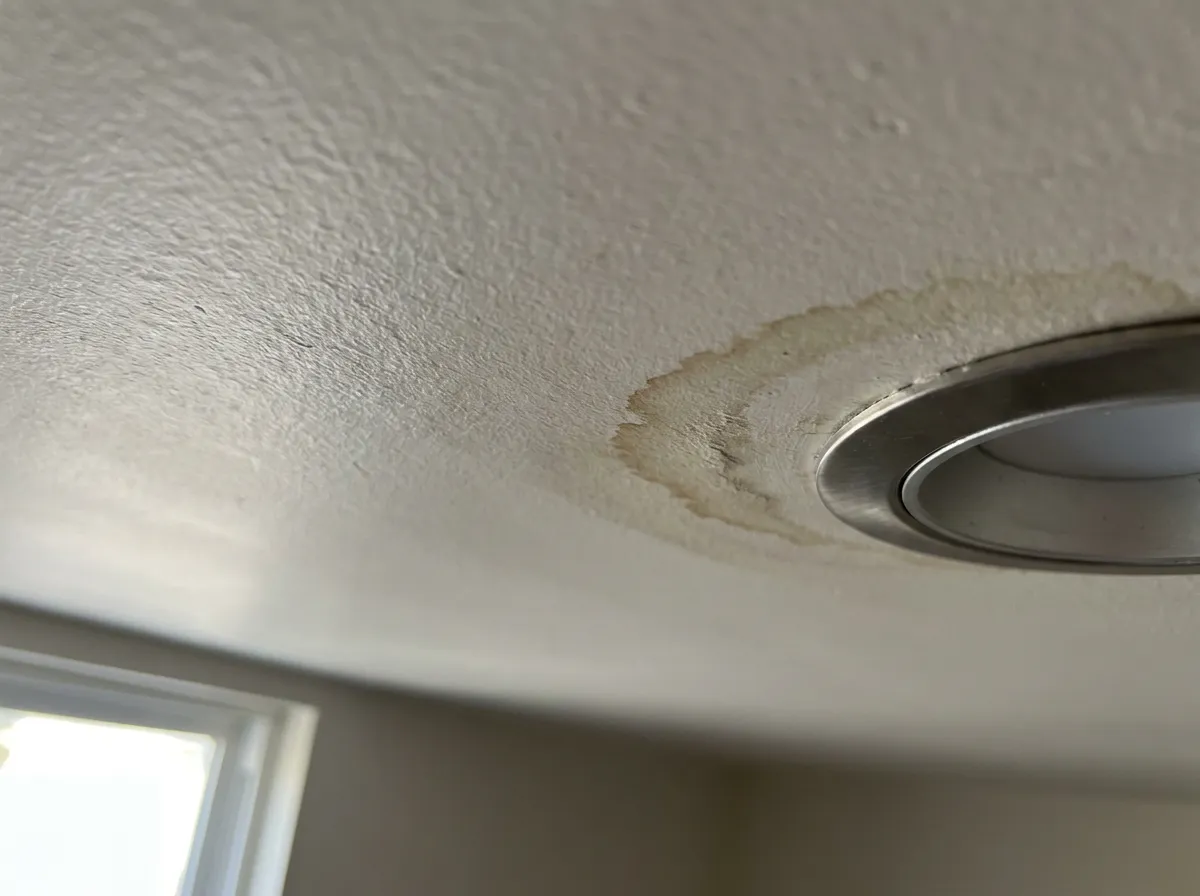 Brown water stain ring spreading across an interior ceiling where a roof leak surfaces